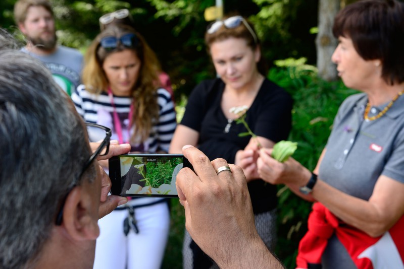 Kräuterwanderung beim Naturkosmetikcamp 2015. Foto: Dirk Holst