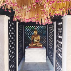 Jennys Spa-Highlight in Thailand: Pañpuri Organic Spa. Foto: Jenny Ospelt