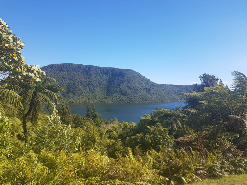 Der Green Lake bei Rotorua. Foto: Frank Weckesser