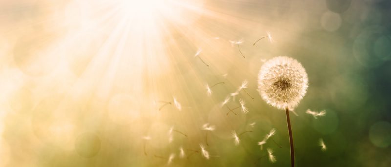 Quellen inspirierter Leichtigkeit im Unternehmen. Foto: Fotolia/Thaut Images
