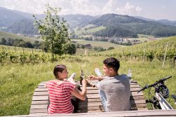 Der Schwarzwaldwald ist unter anderem bekannt für seine Weinbauregionen. Foto: © Chris Keller / Schwarzwald Tourismus GmbH