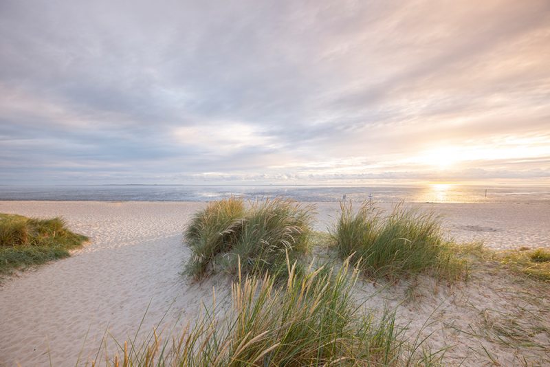 Im Wangerland an der Nordsee entsteht das größte Thalasso-Zentrum Deutschlands. Foto: Oliver Franke