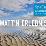Watt'n Erlebnis! SpaCamp 2022 an der Nordsee. Foto: AdobeStock/helmutvogler