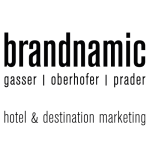 Logo brandnamic