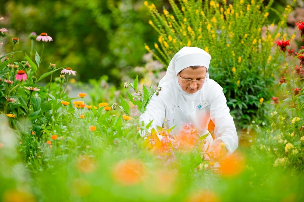 TEM und Klostermedizin in den Curhäusern Marienschwestern. Foto: CURHAUS Marienschwestern 