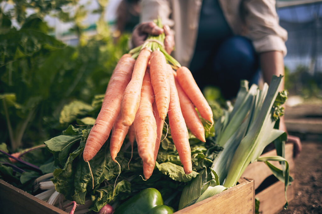 Genussmomente – nachhaltig, regional und pflanzenbasiert. Foto: AdobeStock/Davids C/peopleimages.com