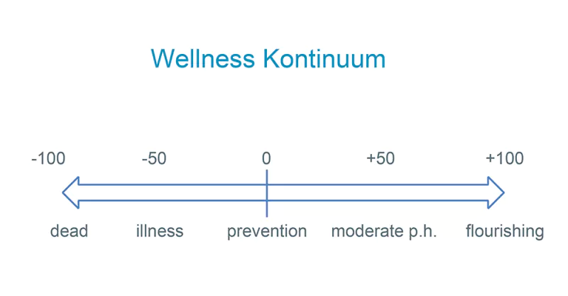 Wellness Kontinuum Salutogenese Institut nach Travis; Grafik: Lisbeth Jerich