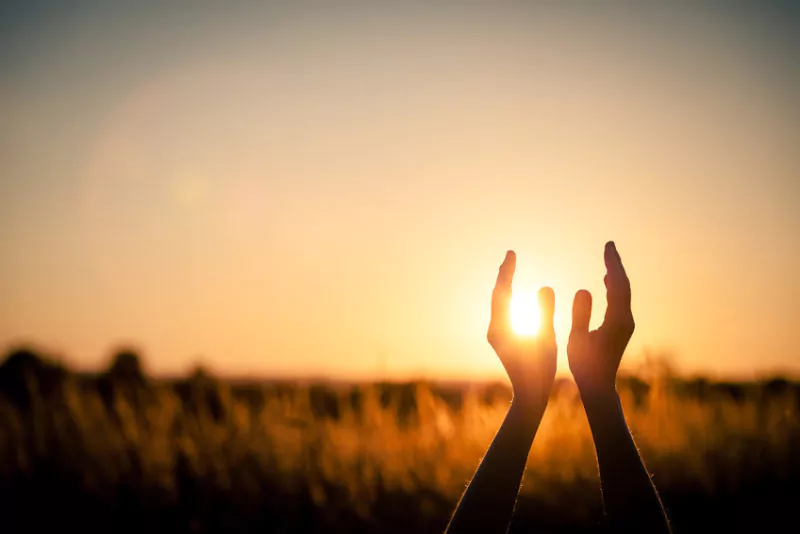 Die Natur bringt in Ordnung. Foto: Fotolia/altanaka