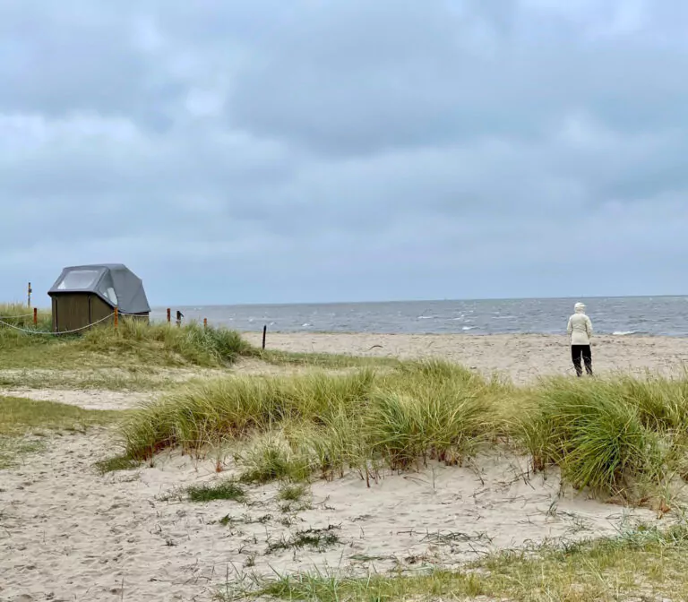 Nachhaltigkeit erfordert Mut, Haltung und Macher:innen! Foto: Tanja Klindworth