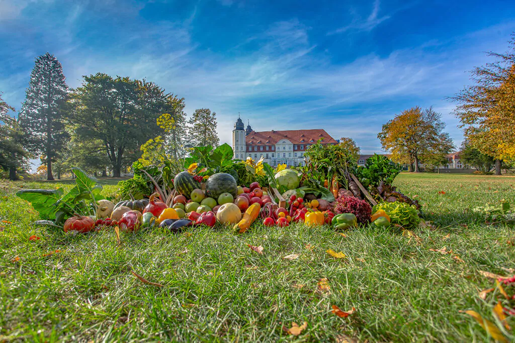 Landwirtschaft im SCHLOSS Fleesensee. Foto: Fleesensee Schlosshotel GmbH