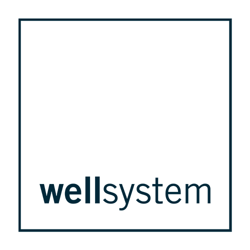 Logo wellsystem